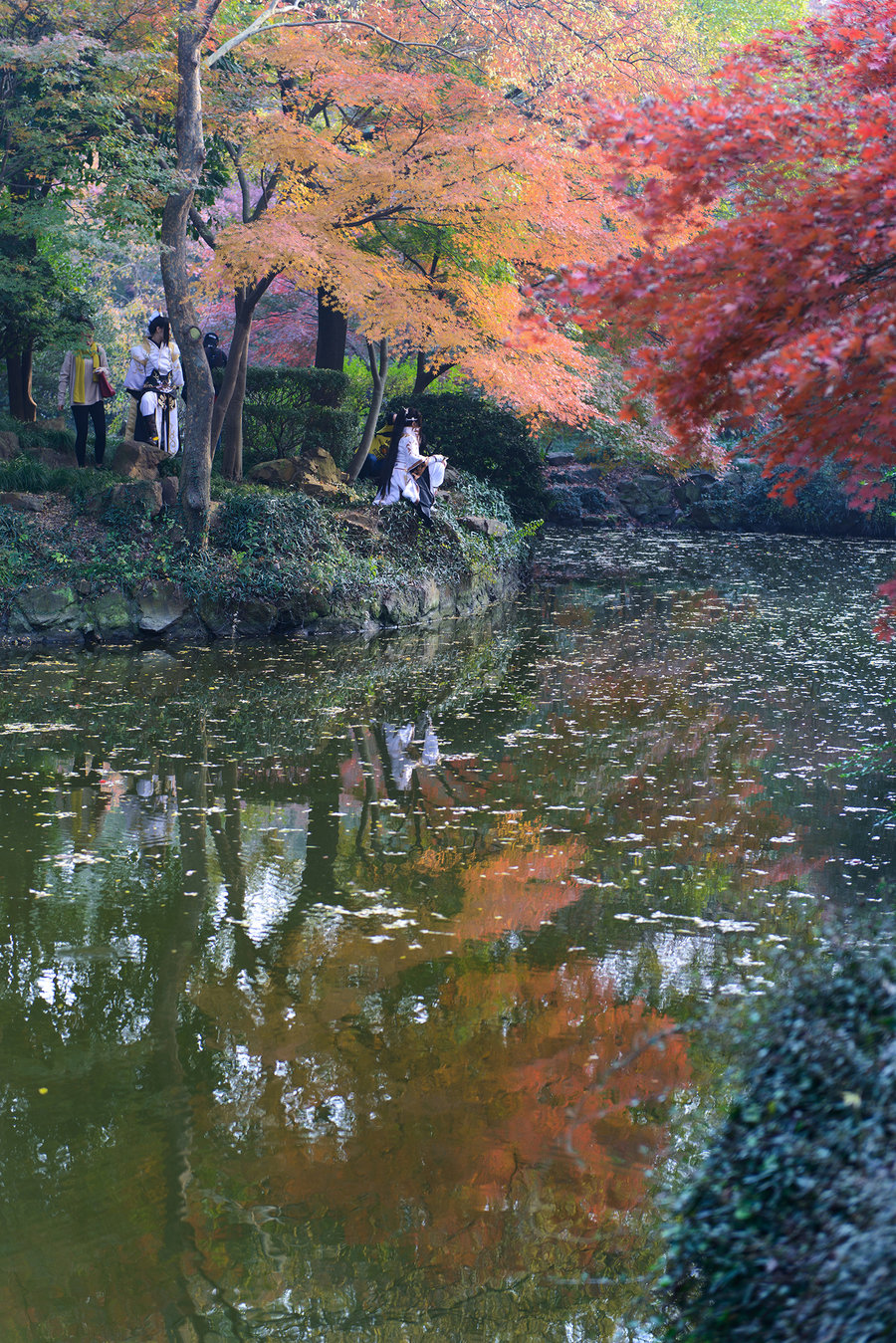 秋霞影院最新，電影藝術(shù)的現(xiàn)代盛宴