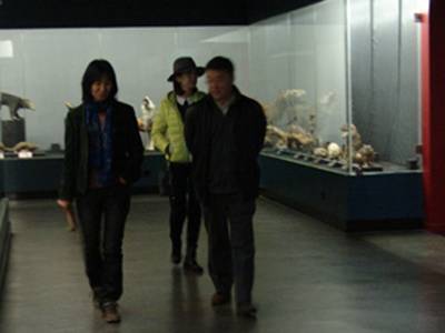 李元潮最新動態(tài)揭秘，小巷深處的獨特風味探秘之旅