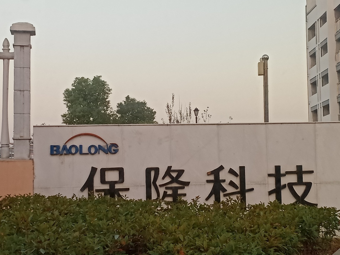 保隆科技最新動(dòng)態(tài)，小巷寶藏的魅力與特色小店的無限探索