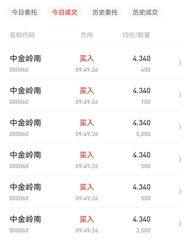 中金嶺南行情深度解析，最新動(dòng)態(tài)與走勢(shì)分析