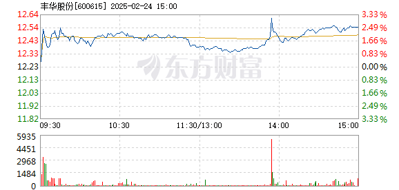 豐華股份股票投資價(jià)值深度解析