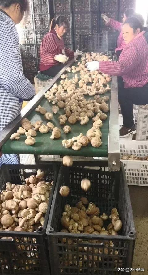 中脈上市指南，詳細(xì)步驟帶你了解中脈上市之路