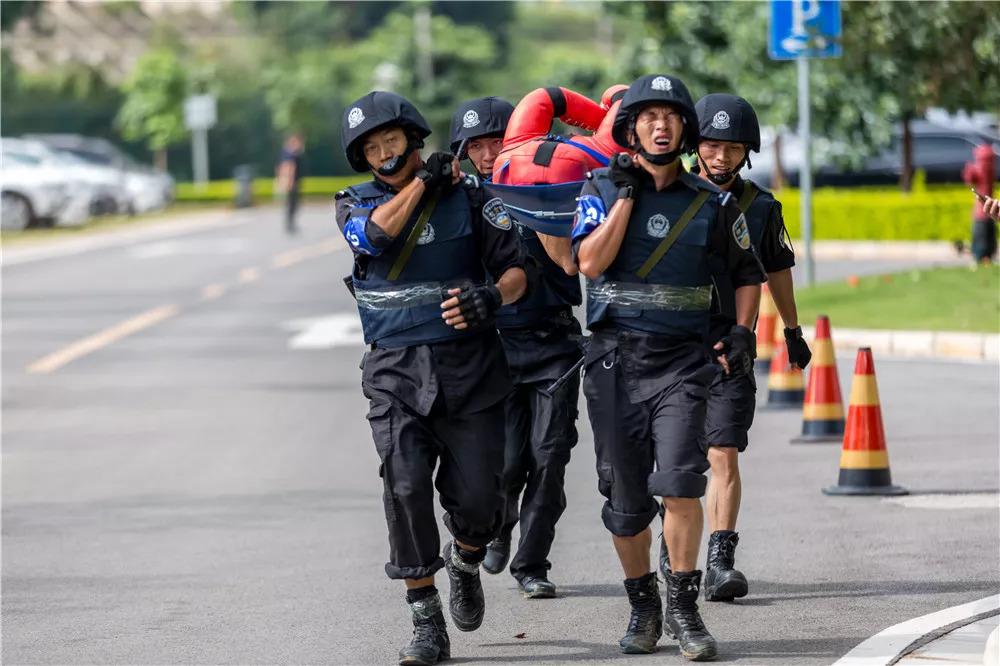 電視劇武裝特警演員表，自信、變化與成就感的勵志之旅探索