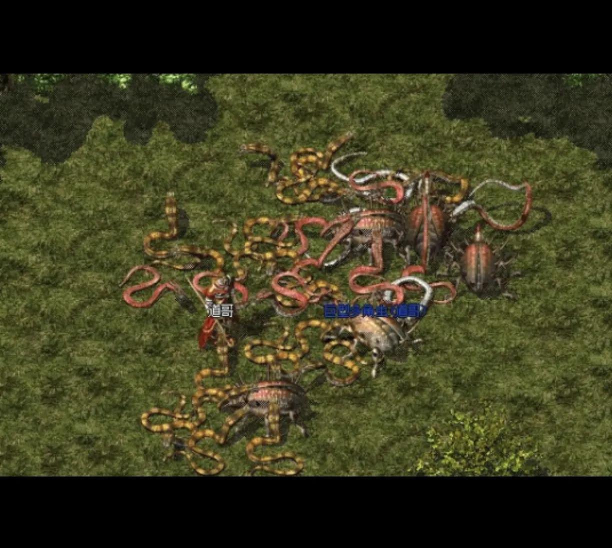 裁決之地演員，小巷中的隱秘寶藏揭秘