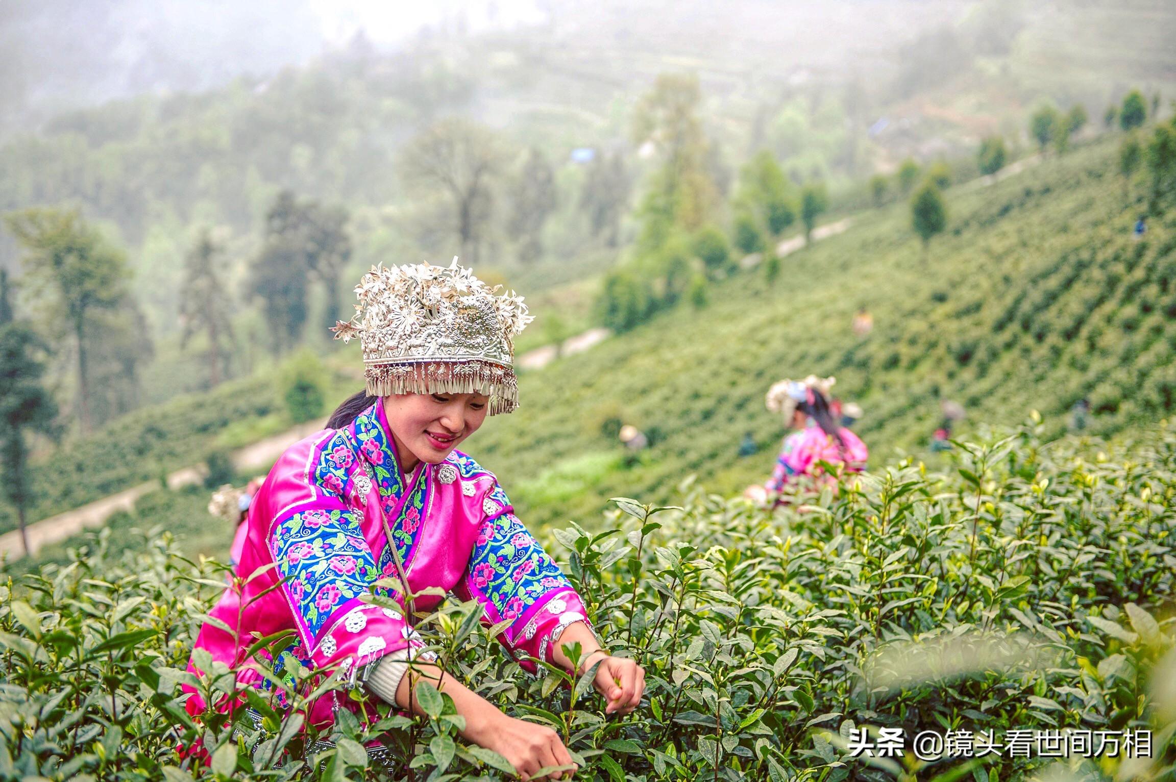黔南新聞快訊，新鮮出爐的當(dāng)?shù)刭Y訊，不容錯(cuò)過！
