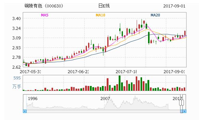 揭秘000630股票，投資潛力與策略深度解析