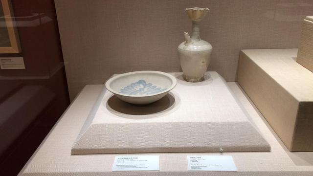 國(guó)博海洋樂(lè)園最新進(jìn)展，邁向未來(lái)的影響與期待