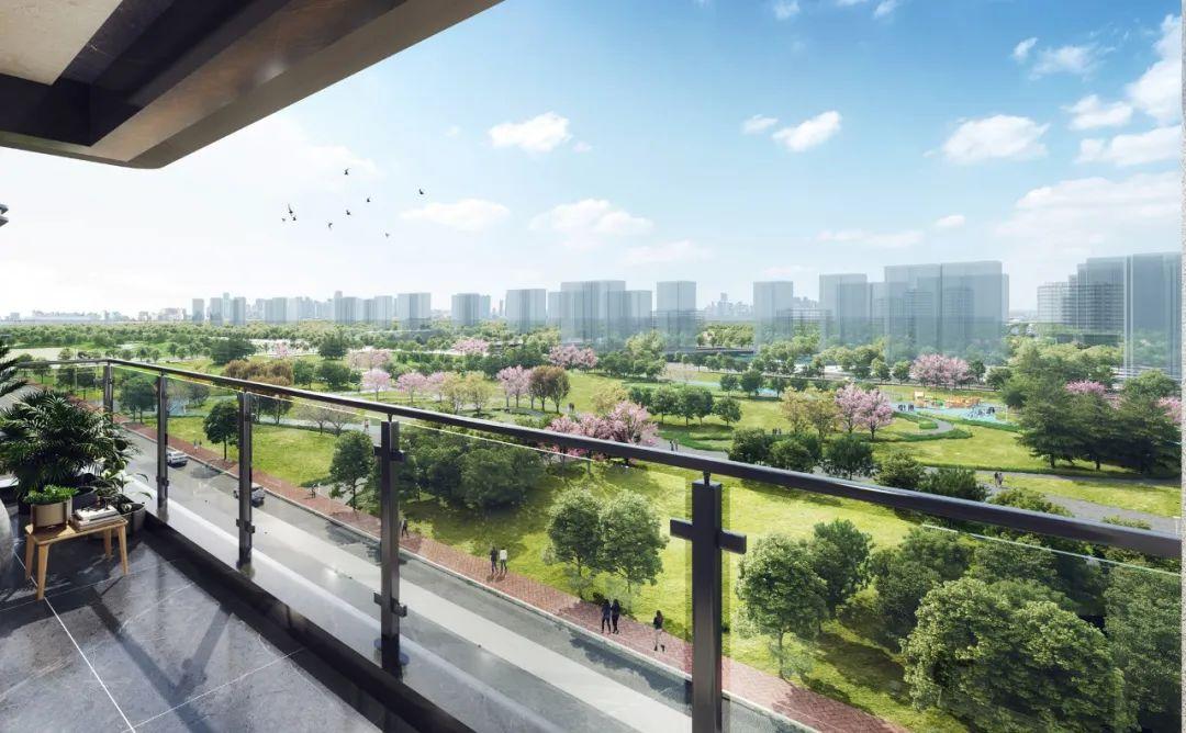 港悅城最新動(dòng)態(tài)，變化中的學(xué)習(xí)之旅，自信與成就感的源泉