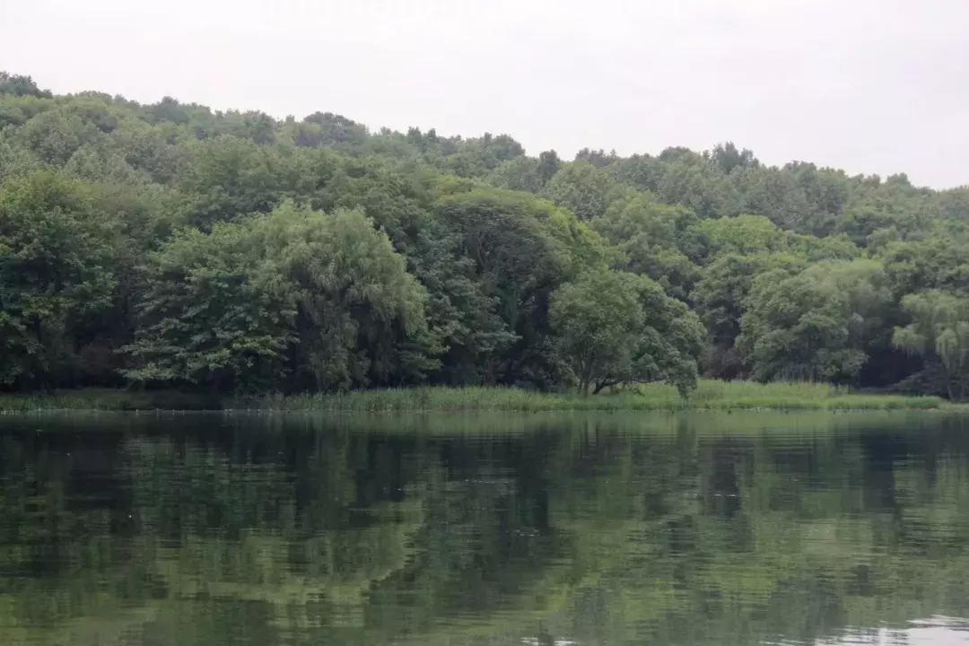 杭州國(guó)際航線最新信息揭秘??