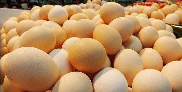 今日臨沂雞蛋價(jià)格行情,今日臨沂雞蛋價(jià)格行情