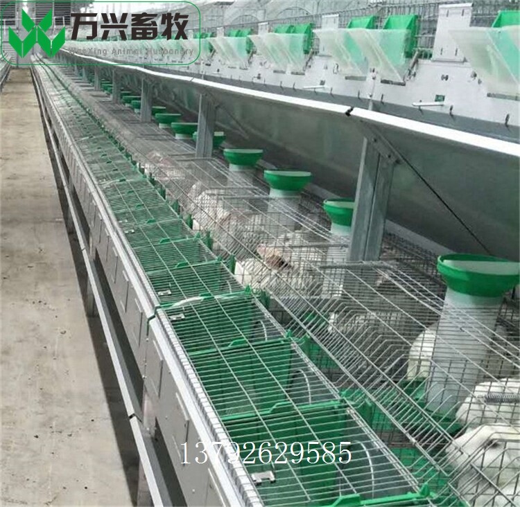 革新養(yǎng)兔業(yè)，新型兔籠引領(lǐng)里程碑式發(fā)展