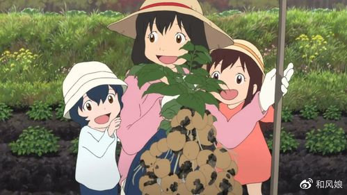 日本治愈動(dòng)漫電影的探索與欣賞指南