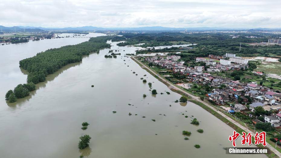 江西永修最新洪水災(zāi)情更新