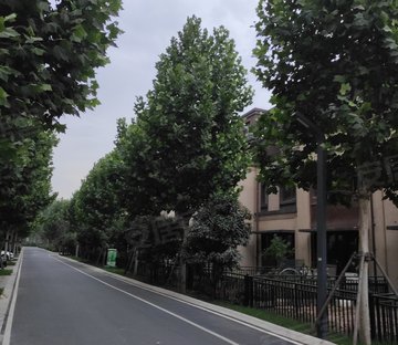 焦作武陟最新房價(jià)概覽與趨勢(shì)分析