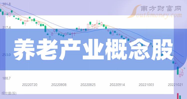 養(yǎng)老上市公司，小巷中的隱秘寶藏與特色小店的無限魅力探索