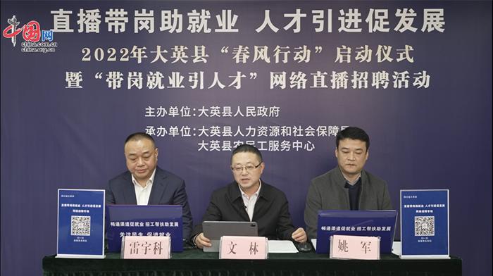 大英縣職位招聘探秘，小巷寶藏與特色小店的邂逅之旅