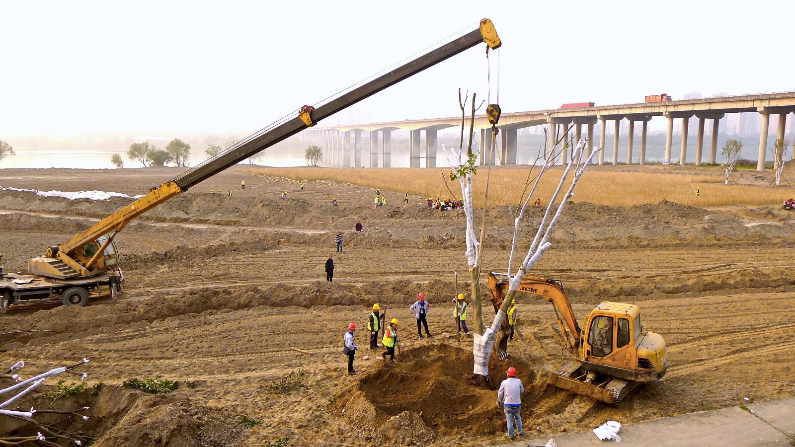 南充下中壩最新建設圖，城市發(fā)展的多維視角與深度分析