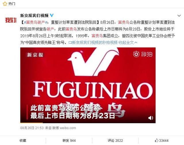 富貴鳥逆境重生，破產背后的力量與變化之美