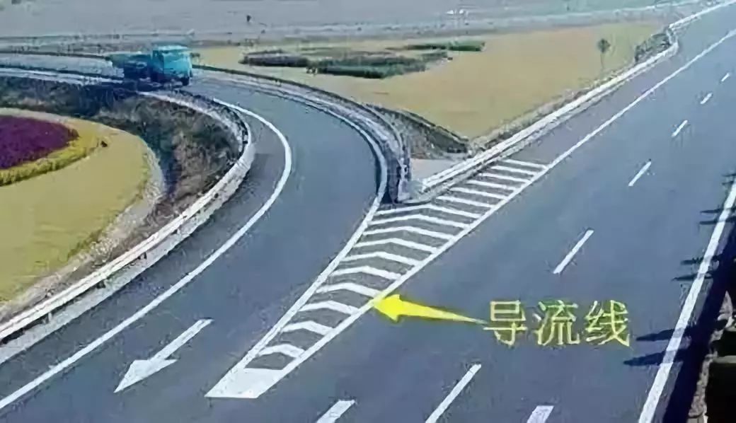 成金青快速路最新動態(tài)，日常趣事與情感紐帶揭秘