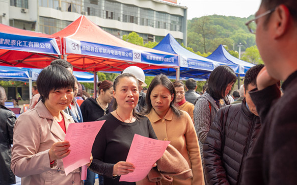 浦城縣招聘網(wǎng)最新招聘，職業(yè)發(fā)展的起點(diǎn)之門