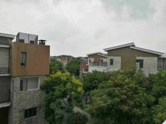 碧溪華鑫天域最新房價及解析報告