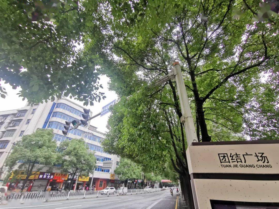 和龍市動(dòng)遷辦最新動(dòng)態(tài)及動(dòng)遷流程指南