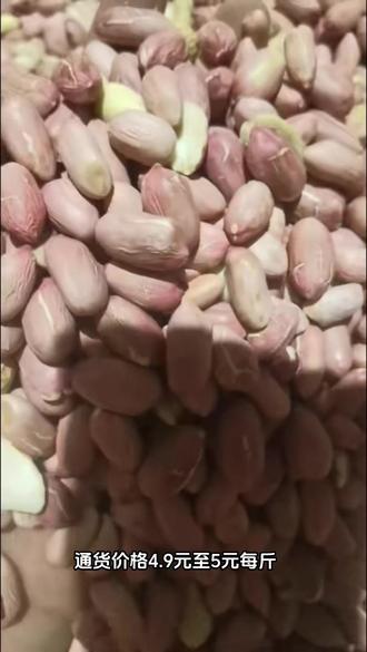 帶殼花生最新批發(fā)價格，變化中學習，成就自信與夢想之路