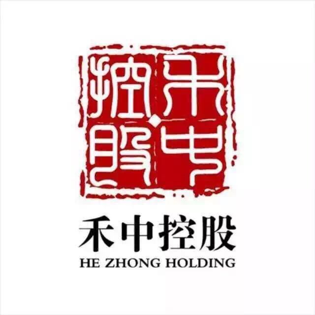 禾中控股集團(tuán)最新消息概覽，權(quán)威指南發(fā)布