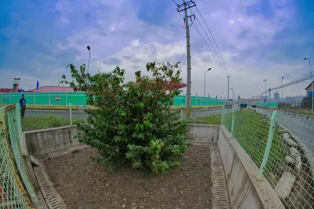 18號(hào)線下鹽路最新動(dòng)態(tài)