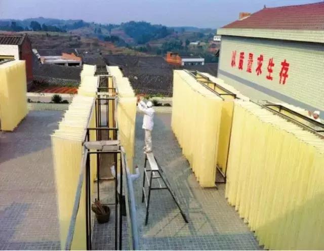 成宜高速公路最新動態(tài)，建設(shè)進展、特色亮點及未來展望