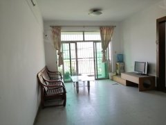 順德北滘最新二手房市場深度解析，全面觀點分析