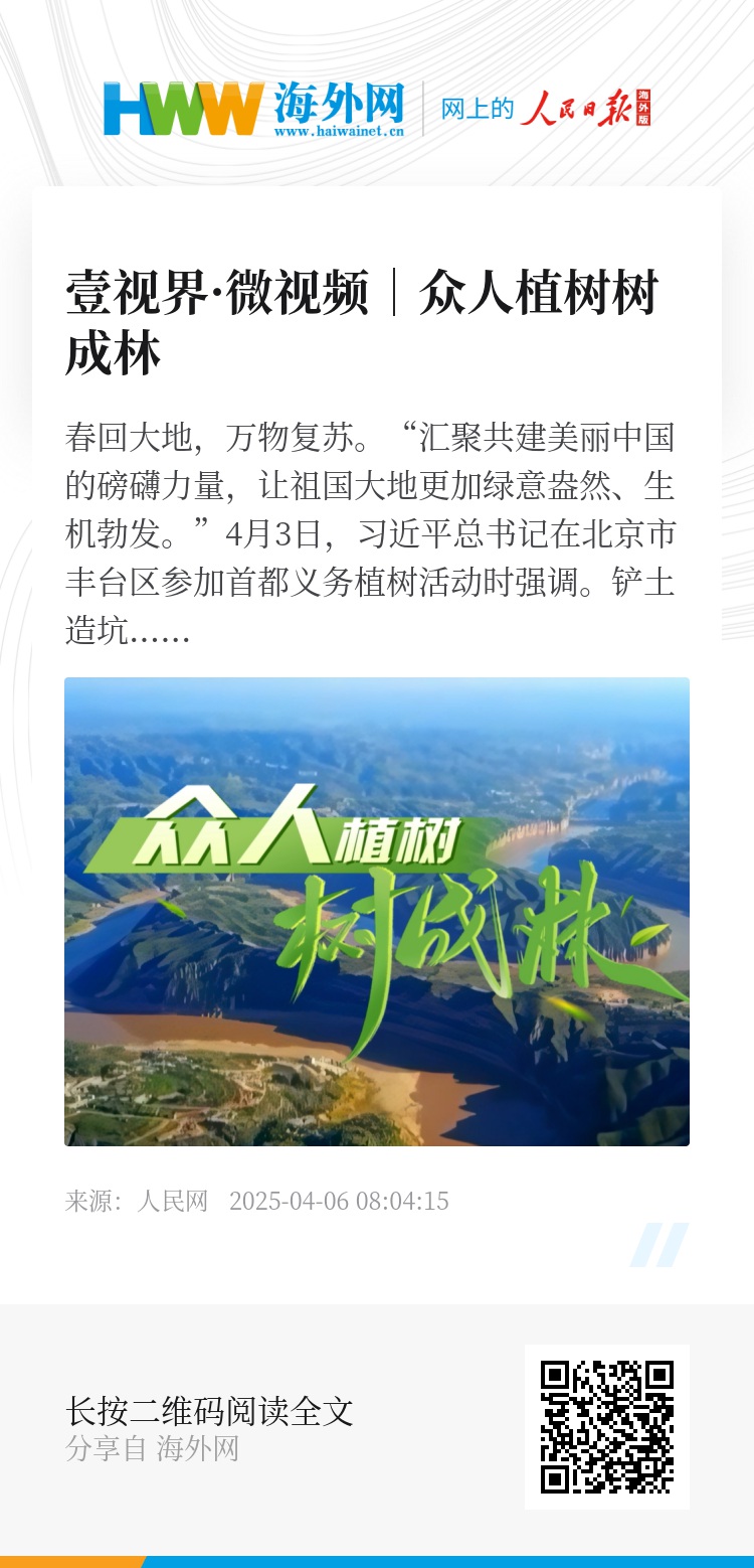 長青樹眾籌最新動態(tài)，小巷驚喜與特色小店的獨特魅力探索