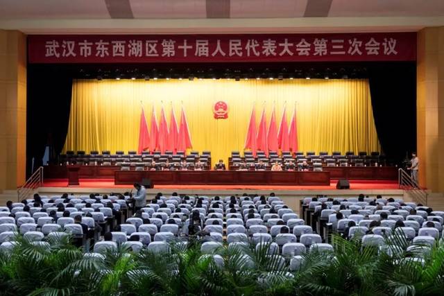 東西湖區(qū)最新任免，人事變動的觀點(diǎn)闡述與解析