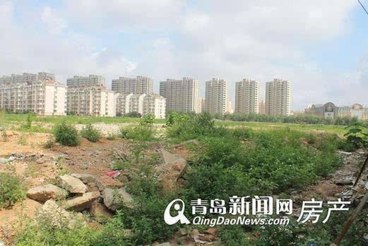 李滄楊哥莊最新動(dòng)態(tài)，科技引領(lǐng)生活，智能新品體驗(yàn)未來