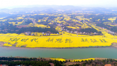 三臺(tái)縣龍樹鎮(zhèn)最新資訊更新