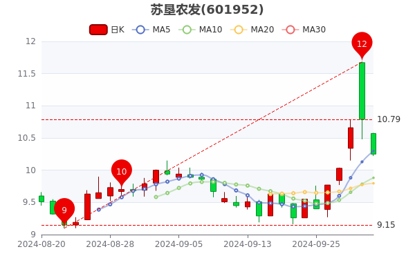 蘇墾農發(fā)股票最新動態(tài)與溫馨日常故事揭秘
