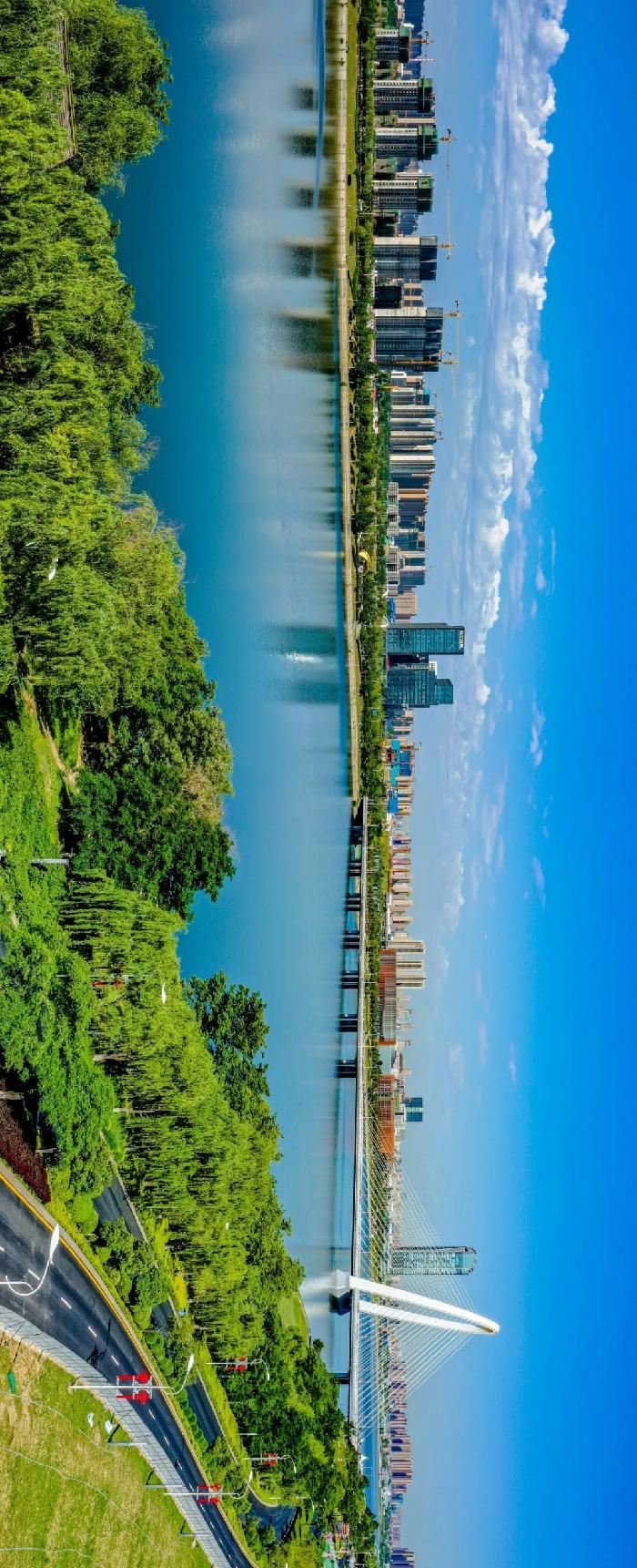 杏園立交完工最新進展報告