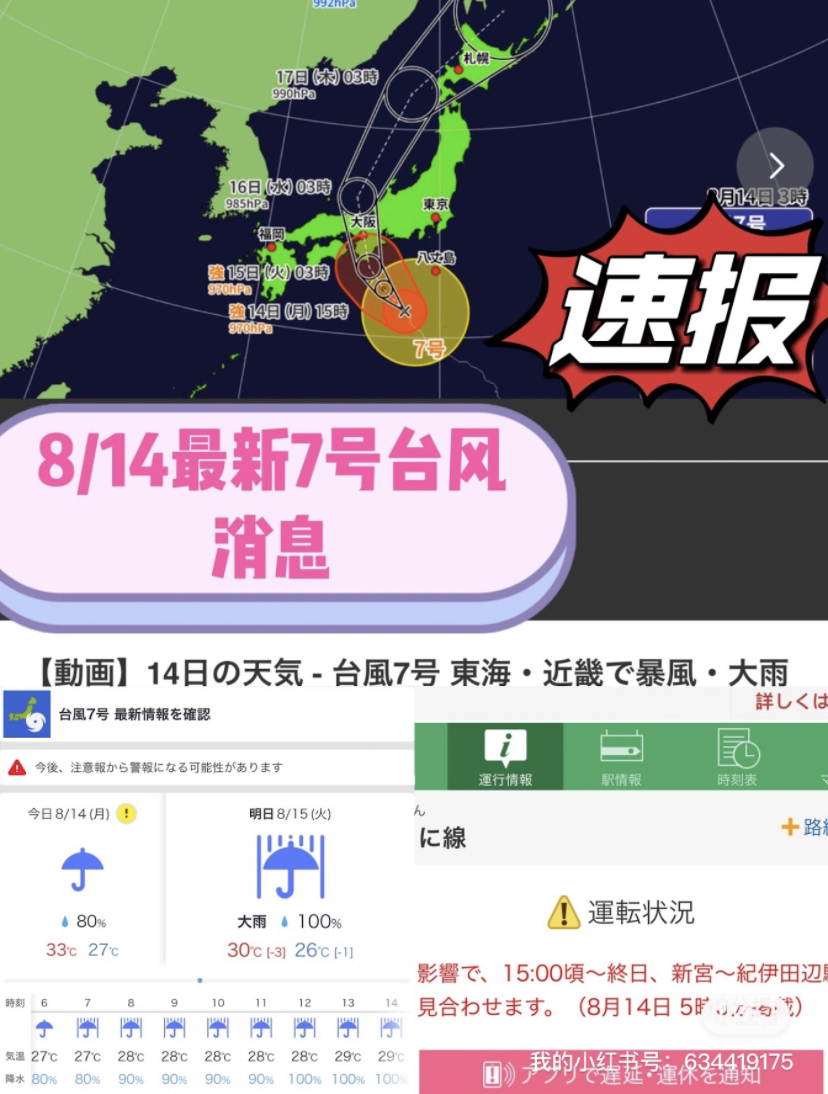 臺風(fēng)來襲，知識海洋并肩作戰(zhàn)，最新關(guān)于臺風(fēng)12號的消息報告