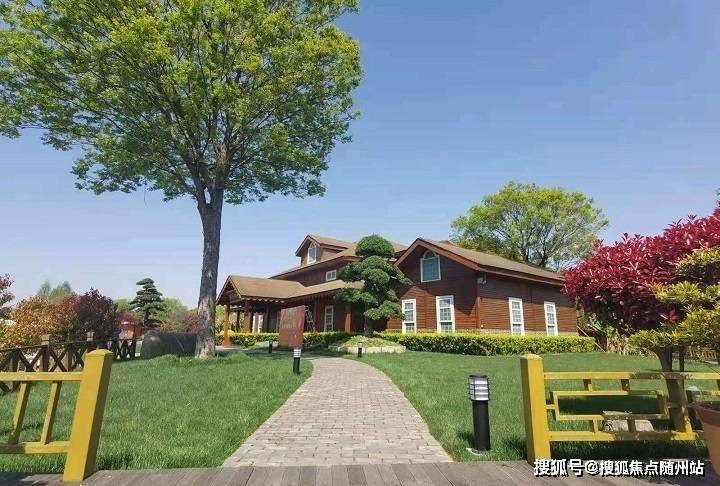 變化中的學(xué)習(xí)之旅，中澤純境最新消息與自信成就之源