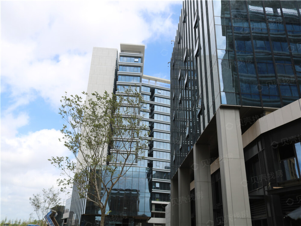 蔚藍創(chuàng)新天地最新動態(tài)揭秘，科技小子的日常趣事