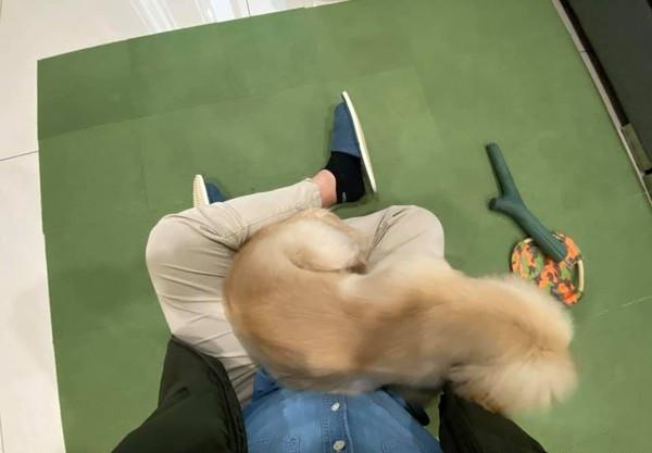 探索萌文化的魅力之旅，最新章節(jié)閱讀大全