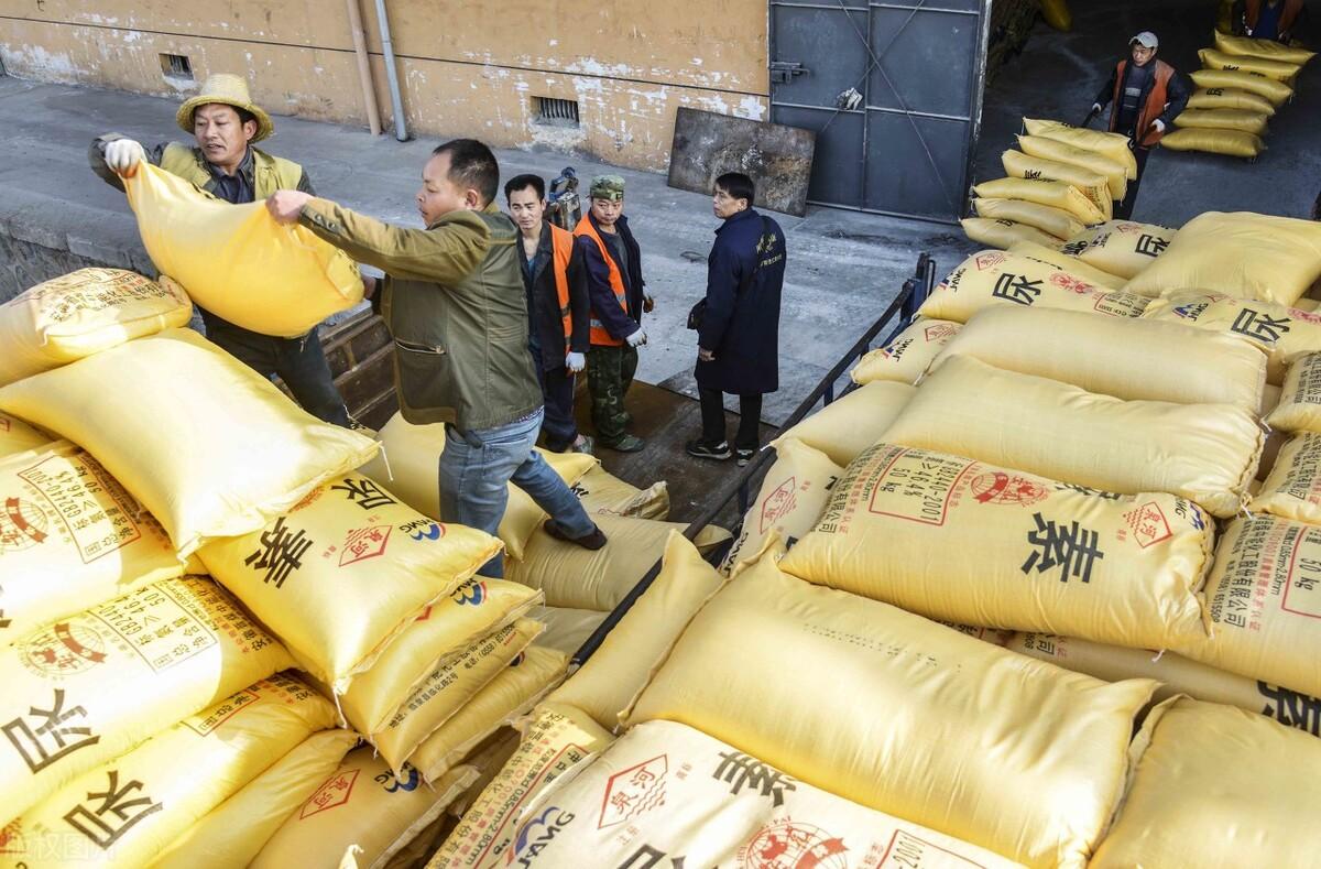 全國尿素最新價格，科技重塑生活下的新面貌