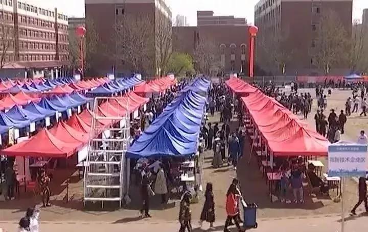 臨淄招聘最新動態(tài)，友情紐帶與家的溫馨之旅