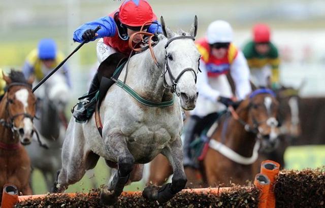 羅牛山最新動態(tài)及相關(guān)論述概述