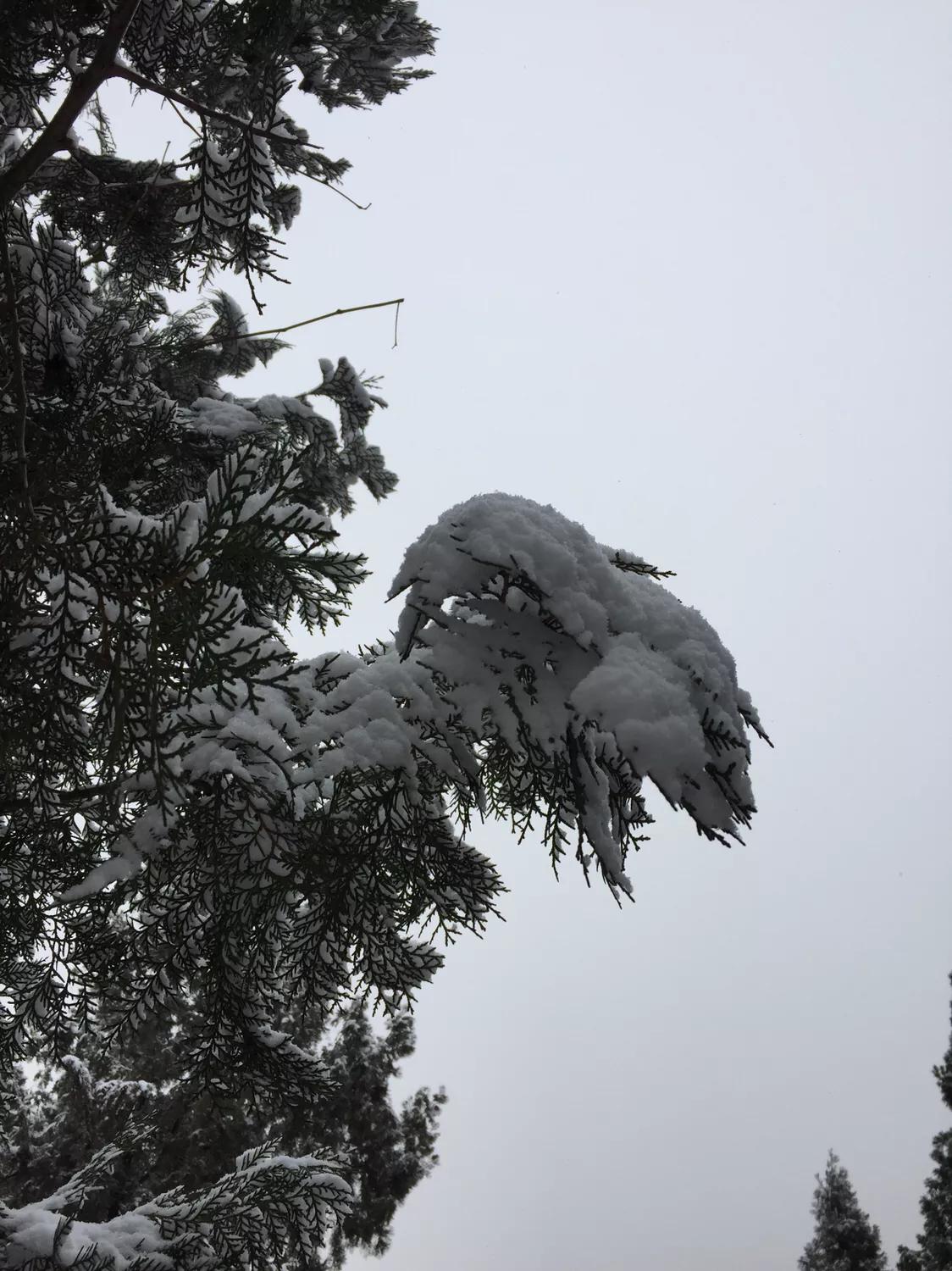 無錫馬山最新規(guī)劃揭秘，規(guī)劃下的生活日常探索