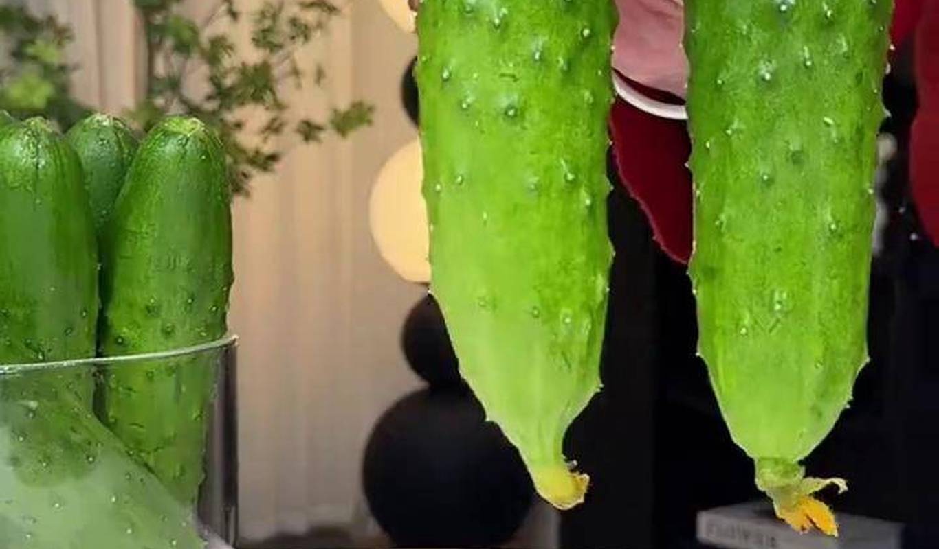 黃瓜視頻下載最新版，時代背景下短視頻巨頭的迅速崛起