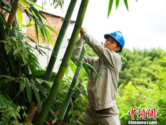 寧德臺(tái)風(fēng)最新動(dòng)態(tài)，科技智能守護(hù)安全前沿