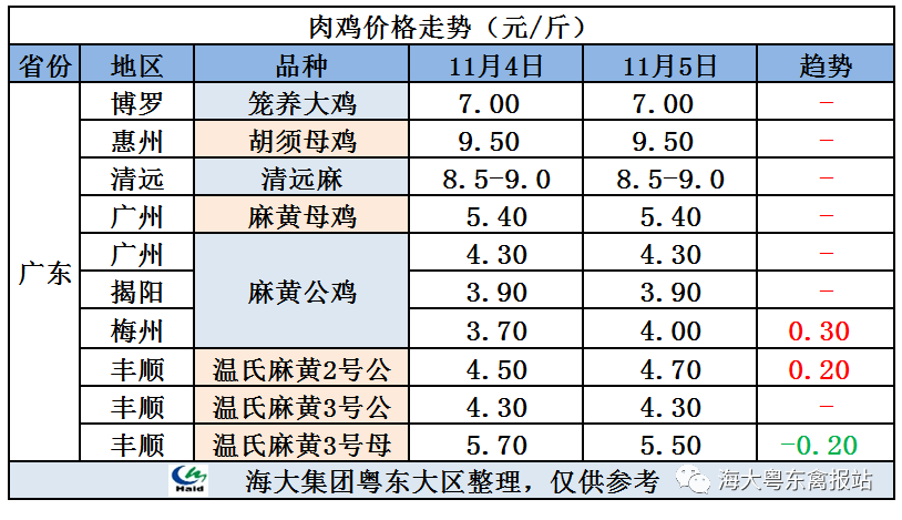 廣東雞價最新行情，心靈與自然的旅行交響曲