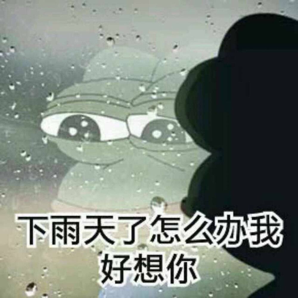 微信下雨表情包，網(wǎng)絡(luò)文化現(xiàn)象的深度探析