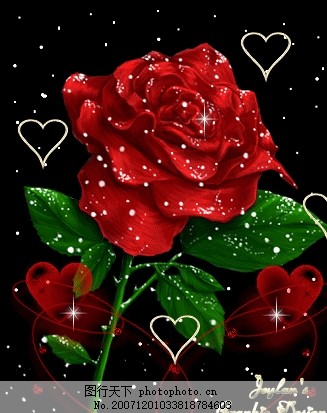 科技與藝術完美融合，最新玫瑰花閃圖欣賞